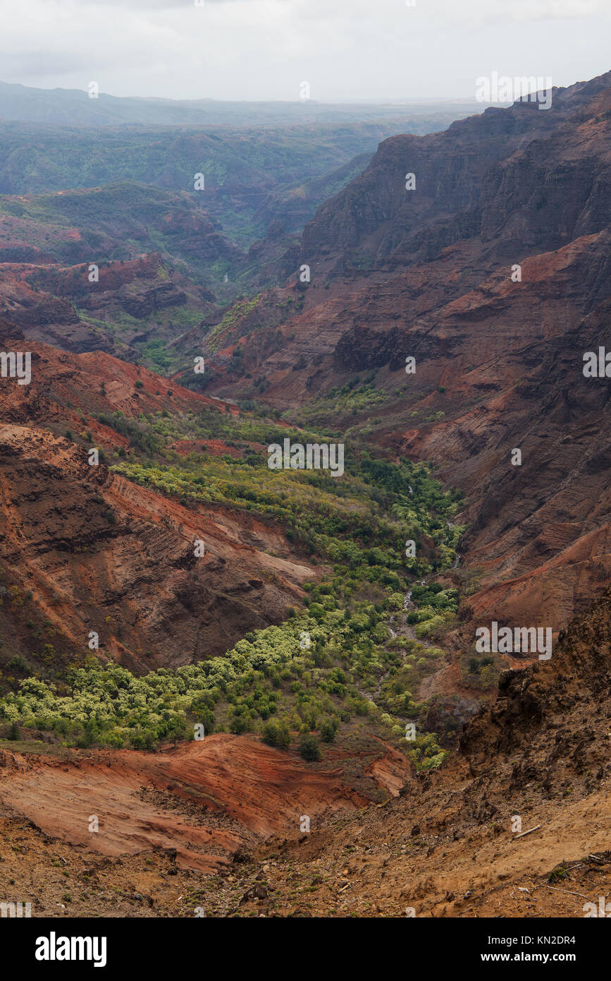 Pu`u Hinahina lookout offers one of the best views into Waimea Canyon on Kauai, Hawaii Stock Photo